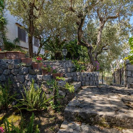 Ulivi Apt Villa Península Sorrentina Exterior foto