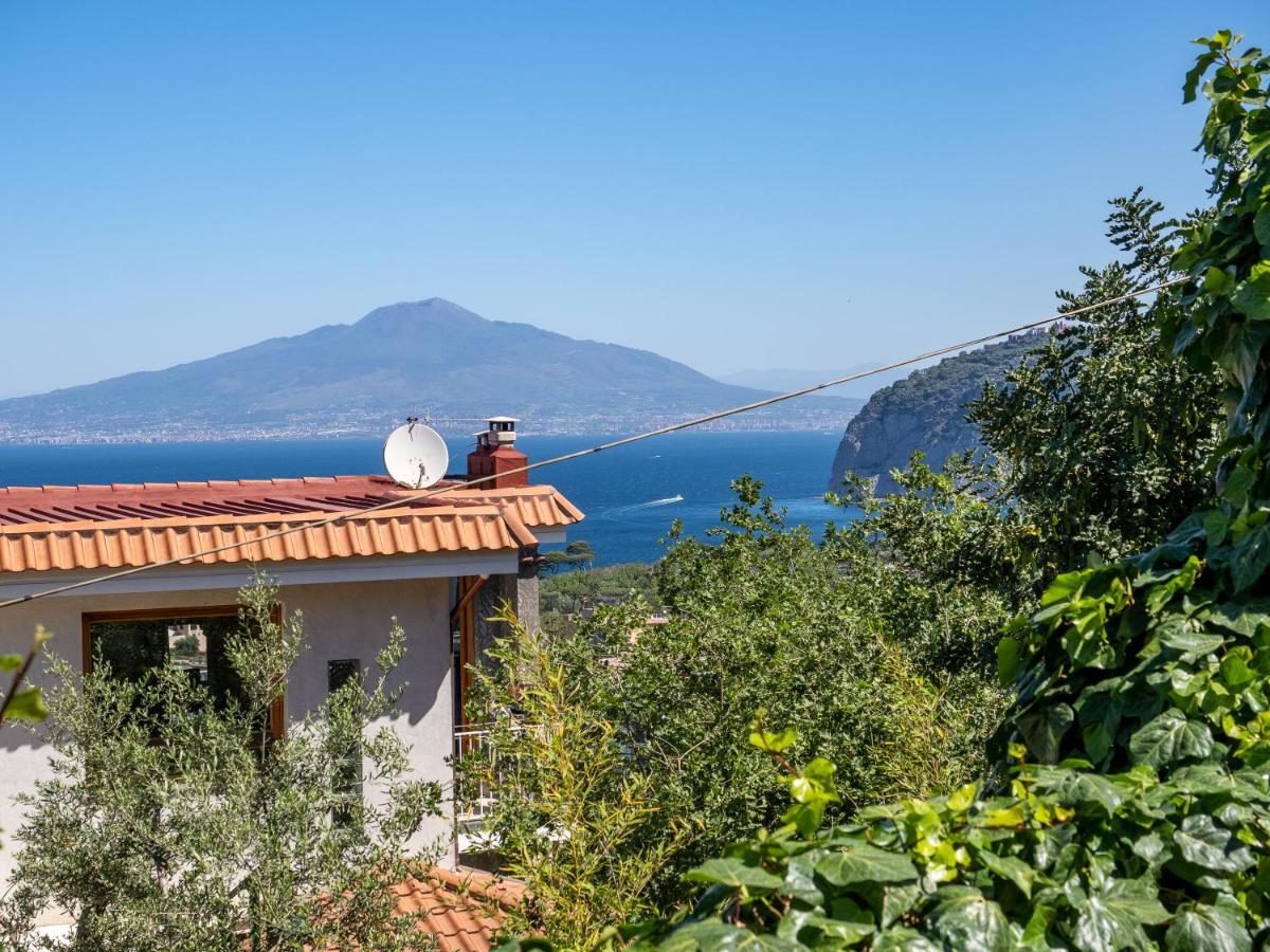 Ulivi Apt Villa Península Sorrentina Exterior foto