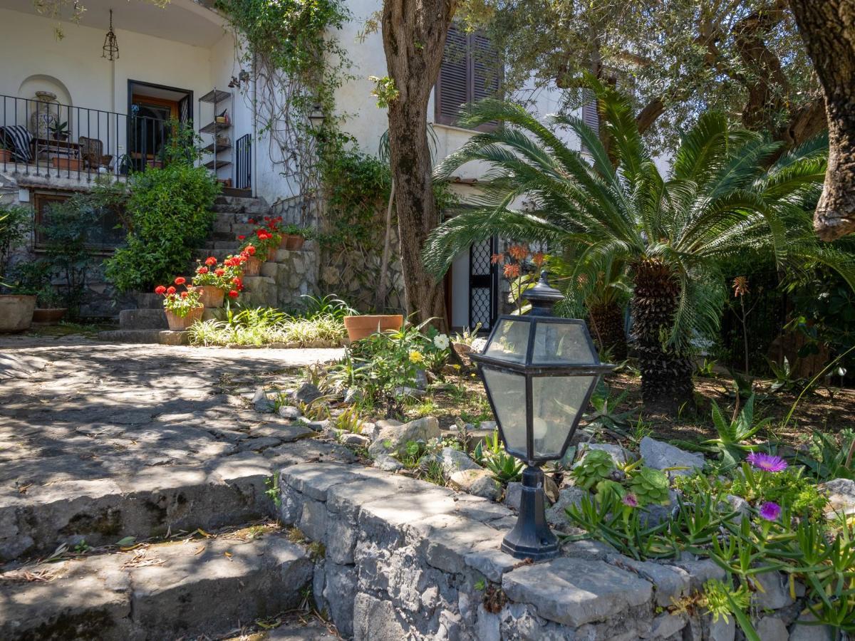 Ulivi Apt Villa Península Sorrentina Exterior foto