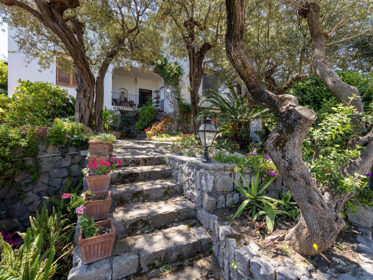 Ulivi Apt Villa Península Sorrentina Exterior foto