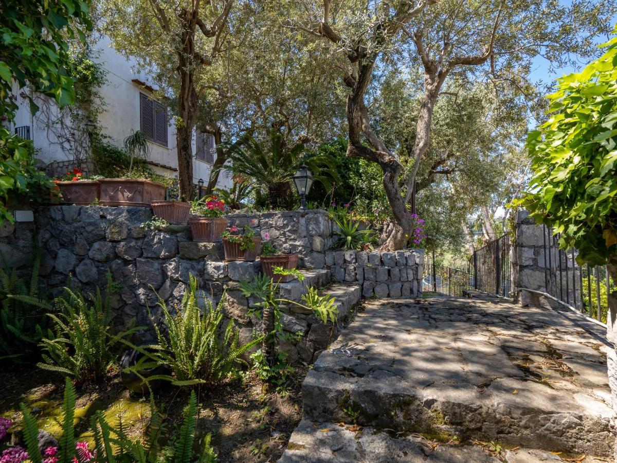 Ulivi Apt Villa Península Sorrentina Exterior foto